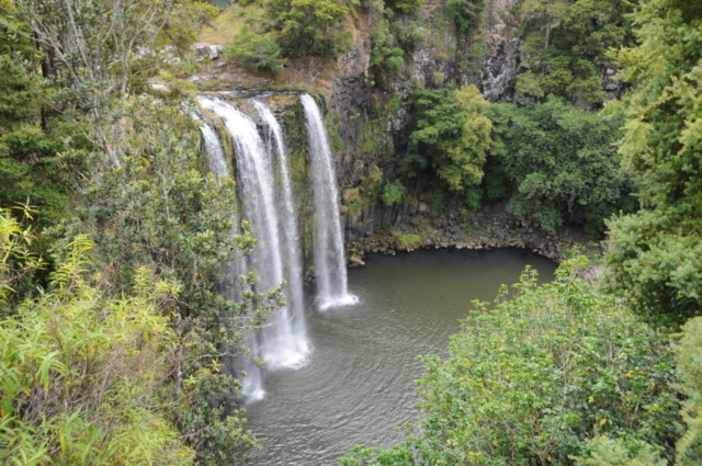 Wangarei Falls