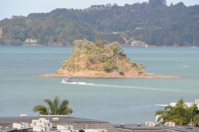 Udsigt fra vores værelse i Paihia